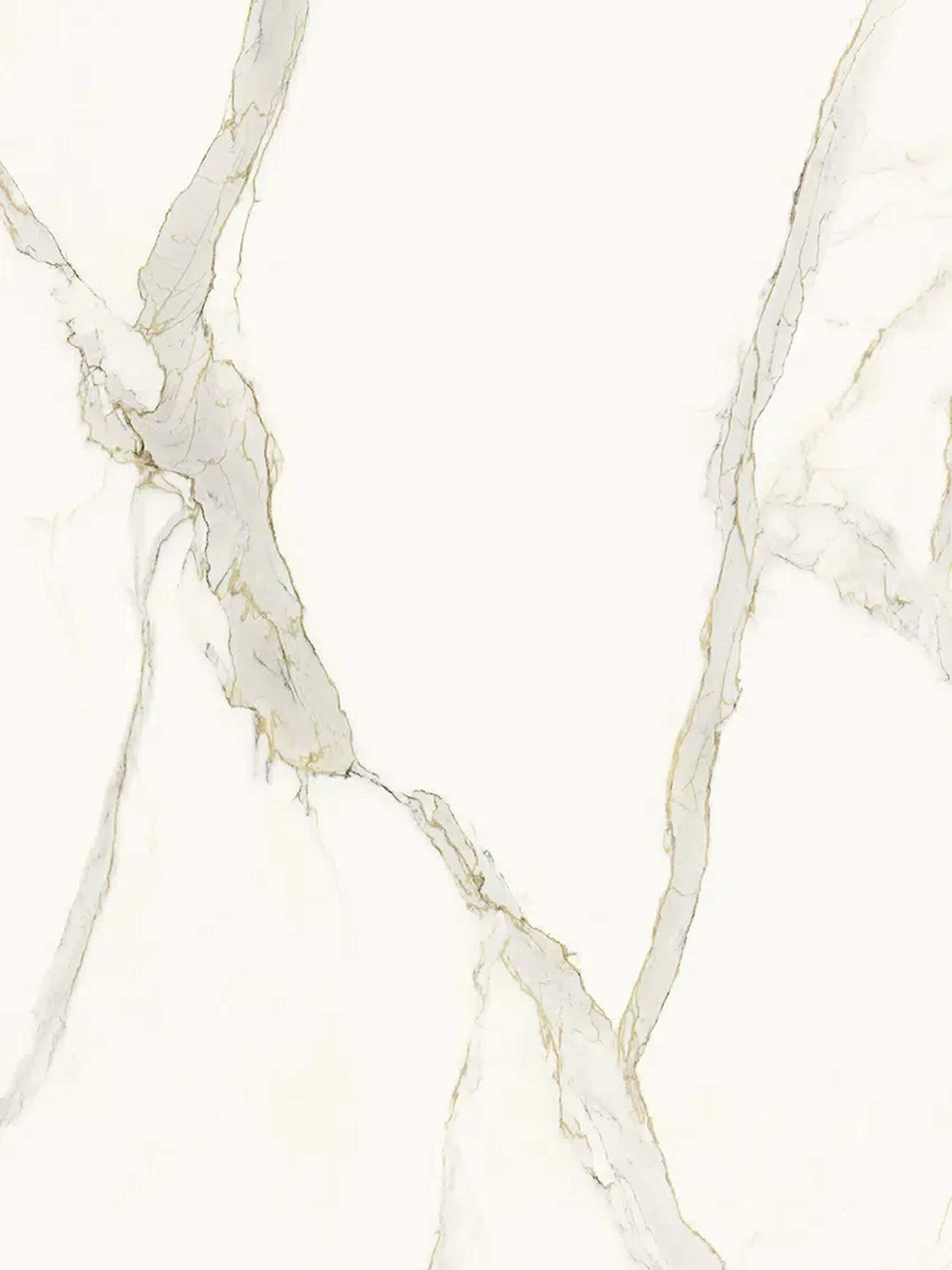 CALACATTA MICHELANGELO