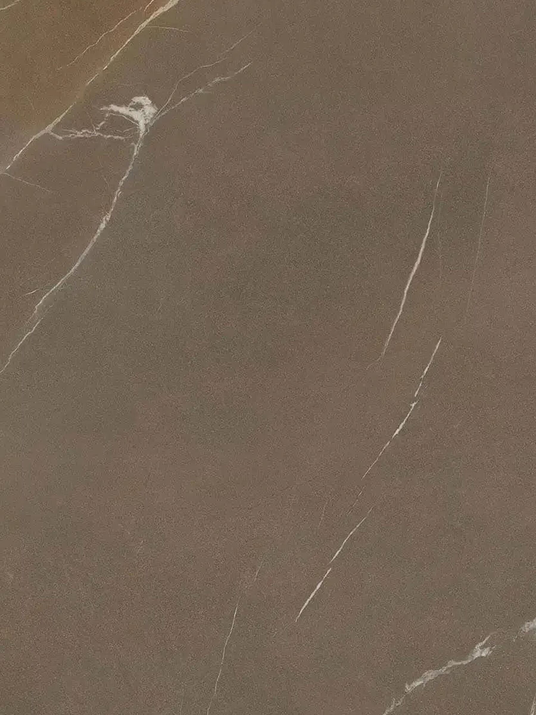 PIETRA PIASENTINA TAUPE